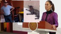 Piden justicia por caso de maltrato animal en Tabasco, Claudia Sheinbaum va por ley secundaria