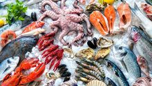 Estas son las recomendaciones de Cofepris para comprar pescados y mariscos seguros durante Cuaresma