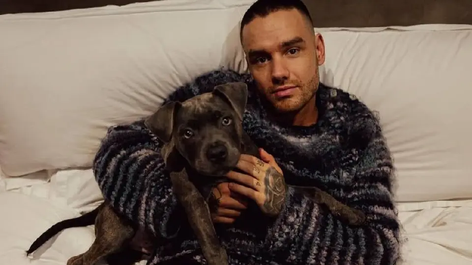 ¿Qué pasará con la herencia de Liam Payne tras su fallecimiento sin dejar testamento?
