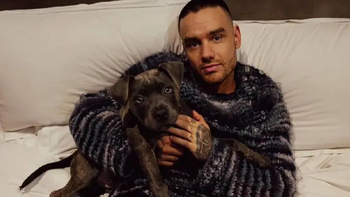 ¿Qué pasará con la herencia de Liam Payne tras su fallecimiento sin dejar testamento?