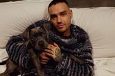 ¿Qué pasará con la herencia de Liam Payne tras su fallecimiento sin dejar testamento?