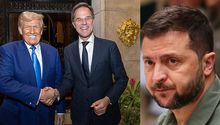 OTAN le pide a Zelensky que se disculpe con Estados Unidos tras altercado con Trump