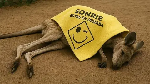 Piden justicia para Skippy, canguro que murió envenenado en Orizaba