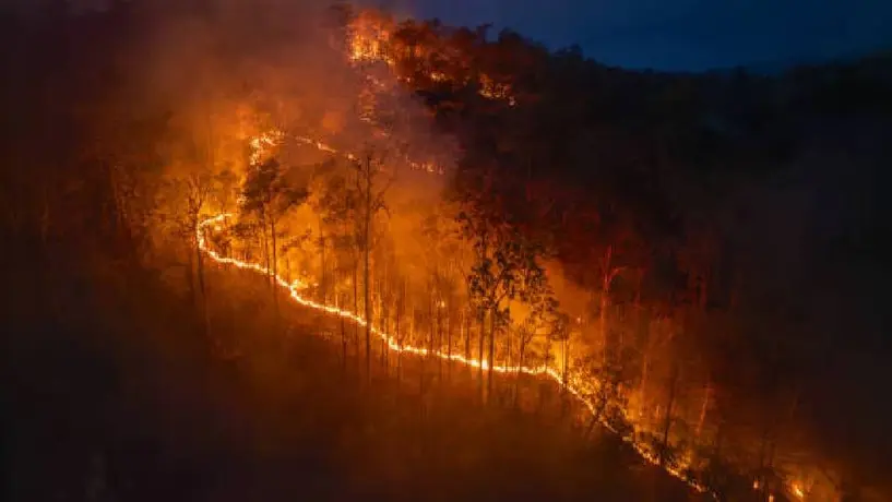 ¡Cárcel para quienes provoquen incendios forestales en Edomex! Conoce la condena