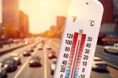 Expertos de la UNAM prevén menos calor extremo este año respecto a 2024