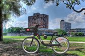 ¿Ecobici en Ciudad Universitaria? Esta es la propuesta de la UNAM