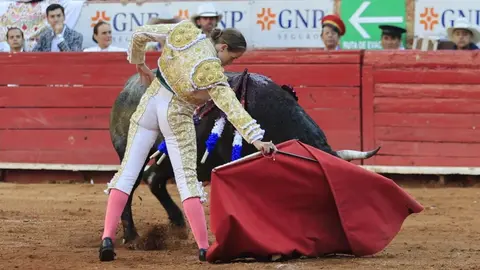 Corridas de toros seguirán, afirma Clara Brugada; no podrán dañar al animal