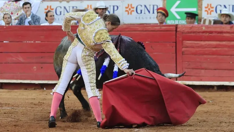 Corridas de toros seguirán, afirma Clara Brugada; no podrán dañar al animal