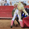 Corridas de toros seguirán, afirma Clara Brugada; no podrán dañar al animal