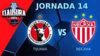 Tijuana vs Necaxa ¿Dónde y a qué hora ver el partido de Jornada 14 del CL25?
