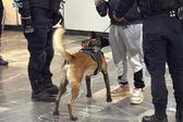 Pinchazos en el Metro: Perros antidrogas estarán vigilando a los pasajeros