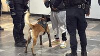 Pinchazos en el Metro: Perros antidrogas estarán vigilando a los pasajeros