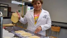 UNAM crea la supertortilla: Combate la obesidad y ofrece más nutrientes