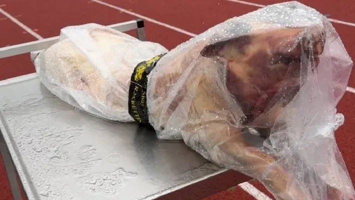 ¡Qué cerdo! Jugador recibe 23 kilos de carne como premio en la Copa de Noruega