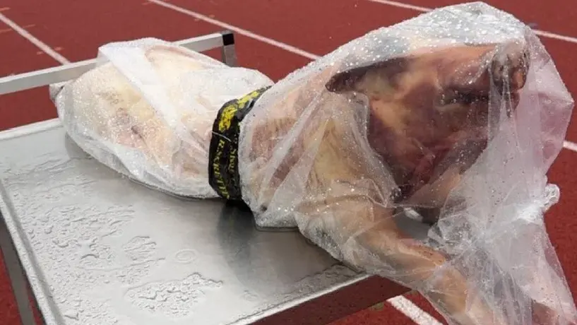 ¡Qué cerdo! Jugador recibe 23 kilos de carne como premio en la Copa de Noruega