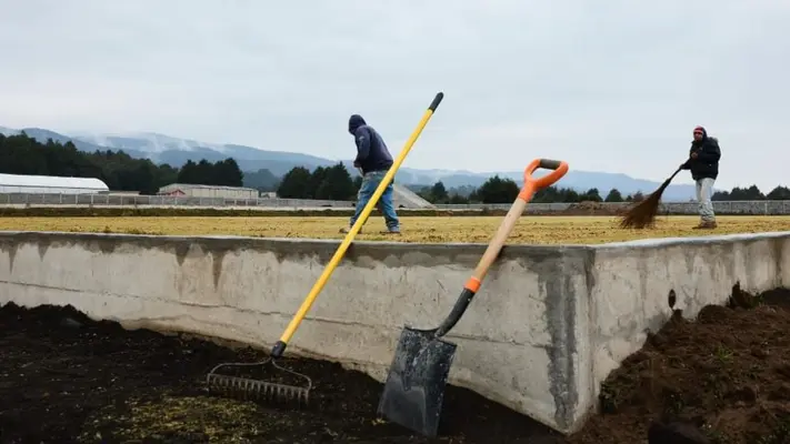 Atlante estrenará instalaciones al sur de la Ciudad de México