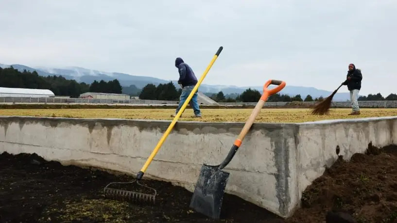 Atlante estrenará instalaciones al sur de la Ciudad de México