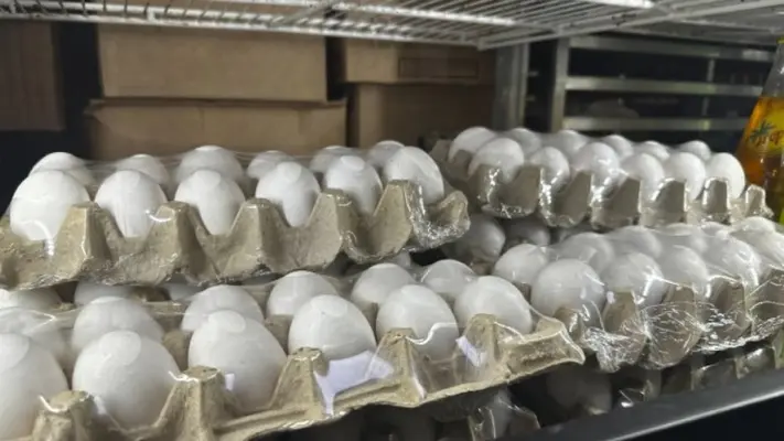Turquía envía más de 15 mil toneladas de huevos a Estados Unidos tras brote de gripe aviar y escasez del producto