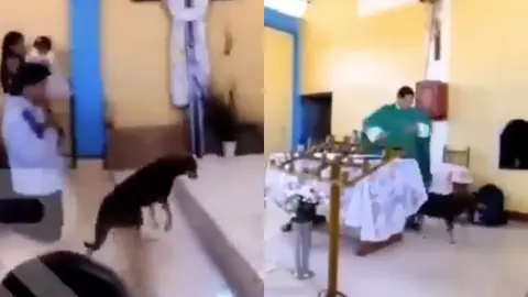 VIDEO: Sacerdote patea a lomito en plena misa ¡Qué Dios te perdone!