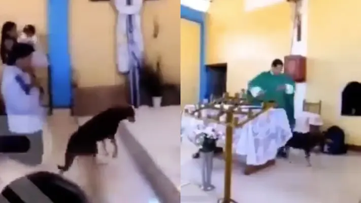 VIDEO: Sacerdote patea a lomito en plena misa ¡Qué Dios te perdone!