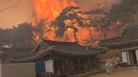 Corea de Sur: Incendios forestales dejan 16 personas muertas