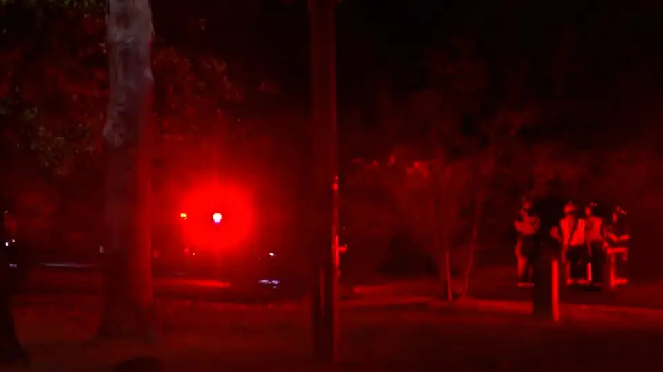 La avioneta cayó en una zona boscosa cercana al Parque Estatal Mirror Lake. / AP