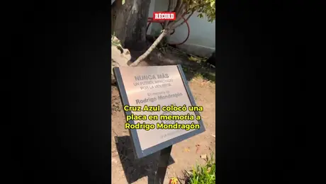 Cruz Azul Colocó Una Placa En Memoria De Aficionado Celeste Que Perdió La Vida En CU
