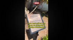 Cruz Azul Colocó Una Placa En Memoria De Aficionado Celeste Que Perdió La Vida En CU