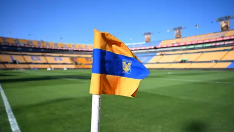 ¿Incomparables? Estrella de Tigres reclama "abandono" de la afición