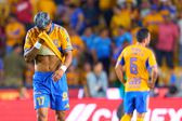 Las bajas de Tigres para el amistoso vs América