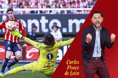 El apunte del director: ¡hablemos de la Hormiga!