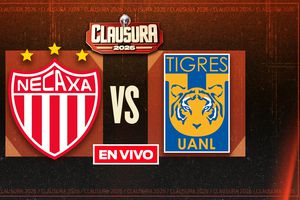 EN VIVO Y EN DIRECTO: NECAXA VS TIGRE | RÉCORD
