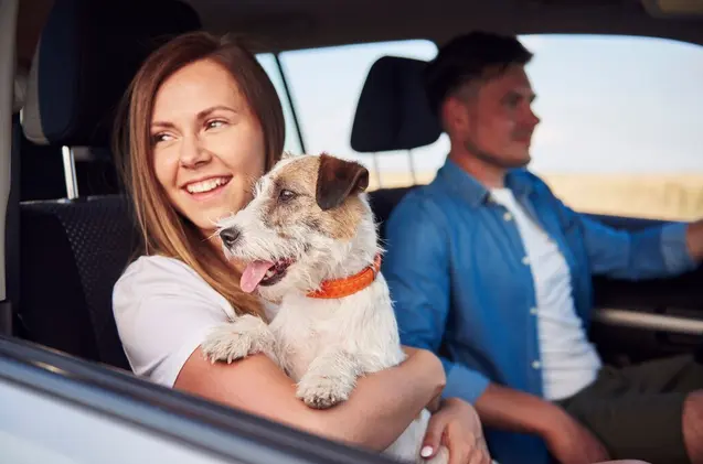Uno de los principales peligros se encuentran que el perro pueda brincar hacia la palanca de velocidades o empujar el volante / FREEPIK