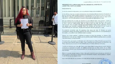 La activista acudió a la Oficialía de Partes del Senado para pedir el desafuero / IG: @zyanyapolastrioficial