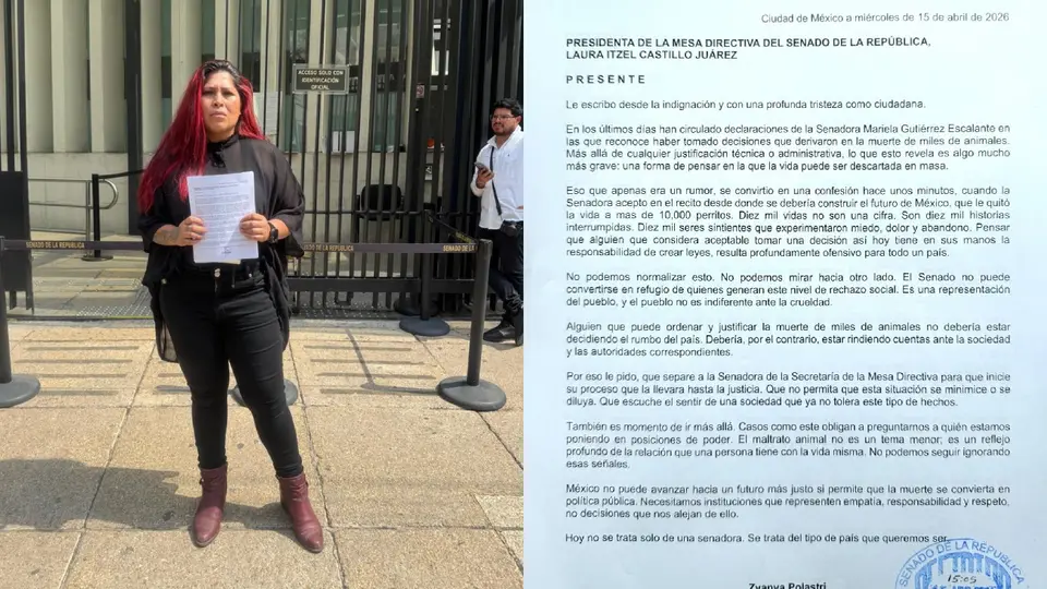 La activista acudió a la Oficialía de Partes del Senado para pedir el desafuero / IG: @zyanyapolastrioficial