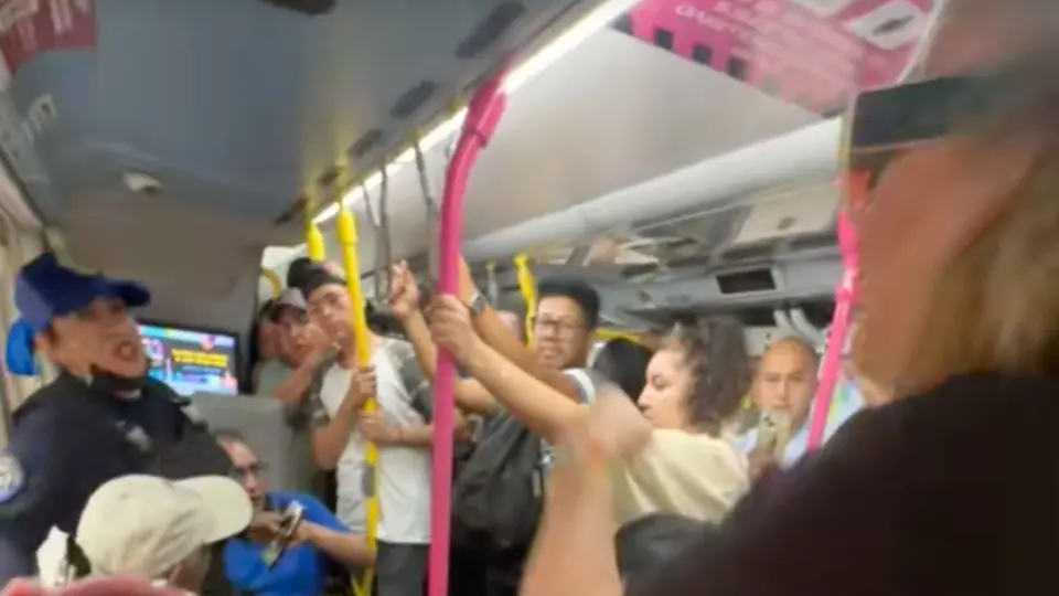 El video muestra el momento en que la pasajera increpa al usuario en silla de ruedas ante la mirada de otros pasajeros. / TikTok: @rebfrutis