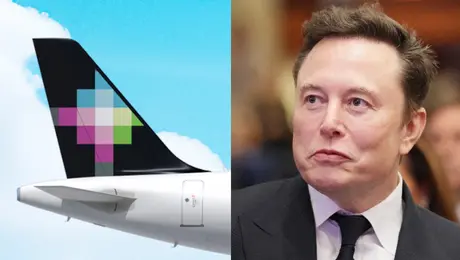 Volaris anuncia alianza con Elon Musk y Starlink ¿De qué se trata la unión?