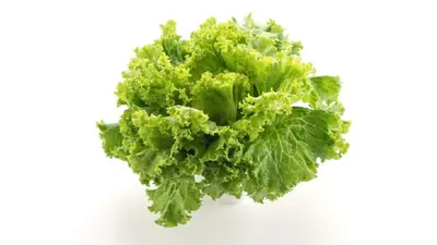¿La lechuga provoca la diarrea explosiva? Expertos investigan brote que alarma en EU