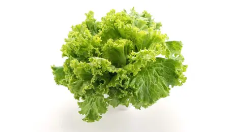¿La lechuga provoca la diarrea explosiva? Expertos investigan brote que alarma en EU