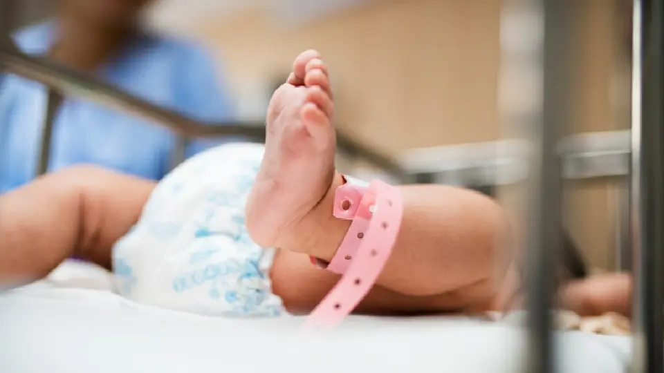 Las familias hoy en día tienen en promedio 1.6 hijos / Magnific