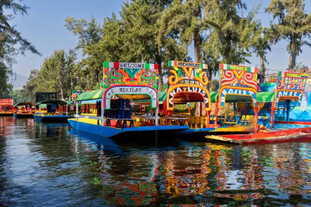 La nueva flotilla de RTP “Las Ardillas” comenzó operaciones para conectar Milpa Alta con Xochimilco./@pixabay