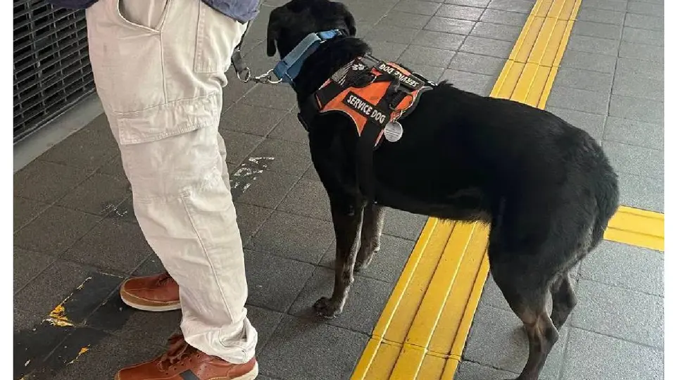 Si la reforma es aprobada, Semovi tendría 180 días hábiles para realizar las adecuaciones correspondientes al reglamento./ FB: Metrobús