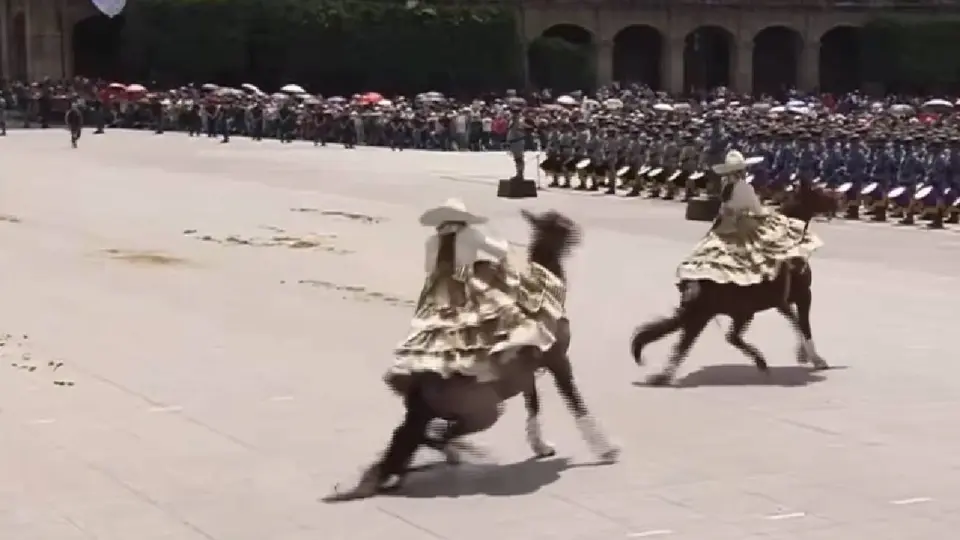 Dos caballos resbalaron sobre el pavimento de la Plaza de la Constitución durante el desfile. / Captura de pantalla