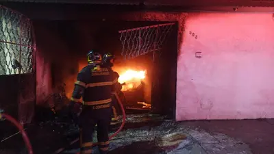 Incendio durante fiestas patrias deja 14 perros muertos en la GAM