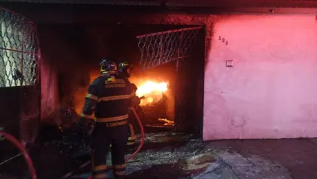 Incendio durante fiestas patrias deja 14 perros muertos en la GAM