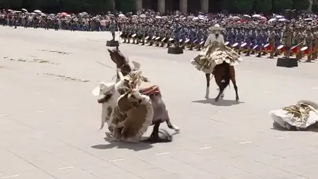 Caballos resbalan durante Desfile Militar 2026 y provocan caída de dos escaramuzas en el Zócalo
