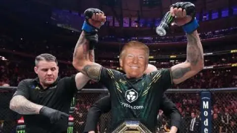 Los mejores memes del triunfo de Donald Trump sobre Kamala Harris en las elecciones