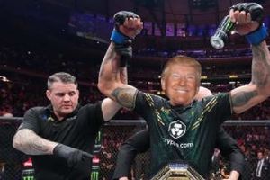 Los mejores memes del triunfo de Donald Trump sobre Kamala Harris en las elecciones