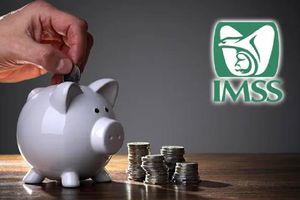 Pensión IMSS 2024: ¿Quiénes NO recibirán aguinaldo y por qué?