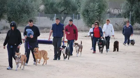 ¡Adiestramiento para tus perritos en CDMX totalmente gratis!